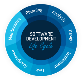 software cycle